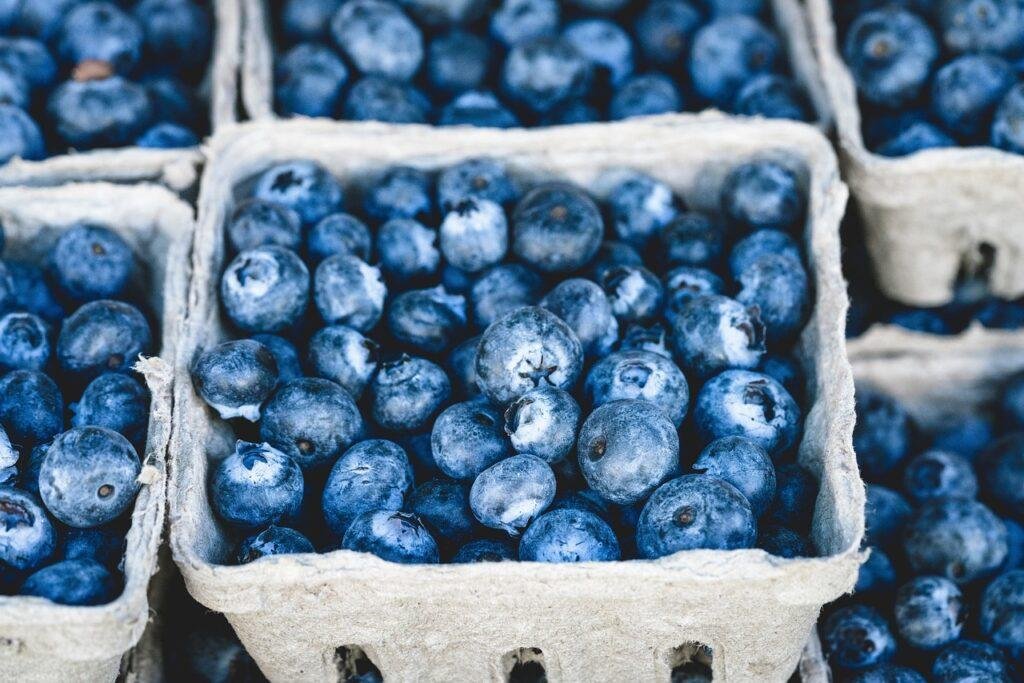 blueberries, bunch, berries, fruits, bunch of berries, fresh berries, fresh blueberries, ripe, ripe blueberries, fruit stand, harvest, produce, organic, fresh produce, blueberries, blueberries, blueberries, blueberries, blueberries, berries, fruits